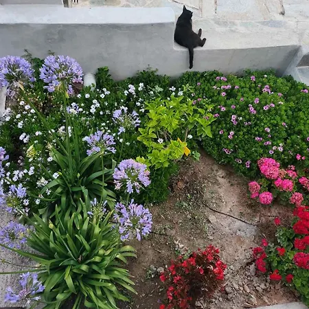 Σπίτι διακοπών The Sound Of The Sea Λυγιά