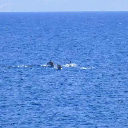 The Sound Of The Sea Ligia (Corinthia)