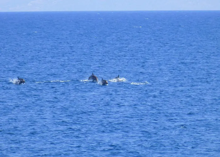 The Sound Of The Sea Ligia (Corinthia)